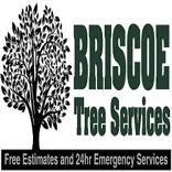 Briscoe Tree Service