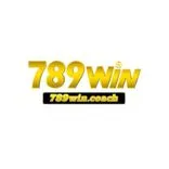 789win – nền tảng giải trí trực tuyến đa dạng và tiện lợi