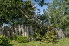 Vision Tree Service