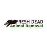 Fresh Dead Animal Removal Melbourne