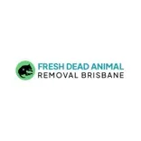 Fresh Dead Animal Removal Brisbane