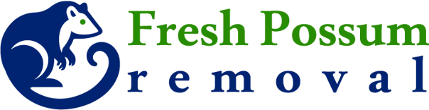 Fresh Possum Removal Sydney