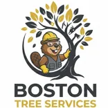 Boston Tree Services