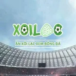 xoilactvsea