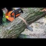 Bronx Lawn Cutting and Leaf Service
