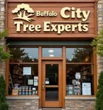 Buffalo City Tree Experts