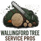 Wallingford Tree Service Pros