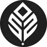 Synergistiques Intelligence Private Limited