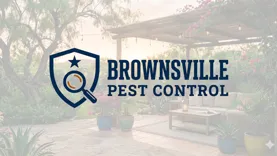 Brownsville Pest Control – Pest Control Services in South Texas