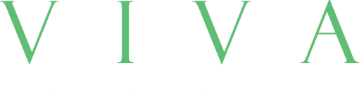 VIVA Digital Agency