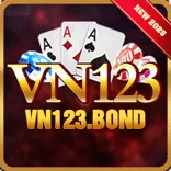 vn123bond