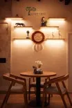 STIFF TREE CAFE - MANSAROVAR IN JAIPUR