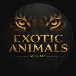 Exotic Animals Miami