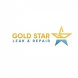 Gold Star Leak and Repair