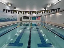 Dolphin Swimming Flagship Pool