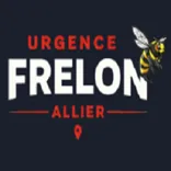 Urgence Frelons Allier