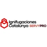 Ignifugaciones Barcelona — Protección Pasiva contra Incendios