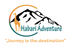 Guided Kilimanjaro Climb