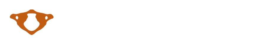 nasets kiropraktik