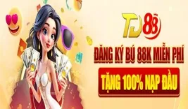 TD88