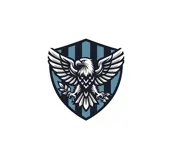 Liberty Vigilance Protection LLC