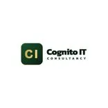 Cognito It Consultancy