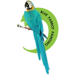 Blue Parrot Painting