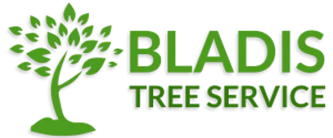 Bladi's Tree Service