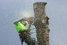 Thousand Oaks Tree Service