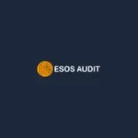 ESOS Audit Ltd
