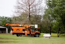 Checotah Tree Service