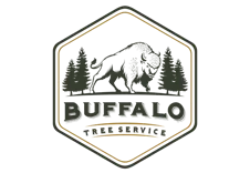 Buffalo Tree Service