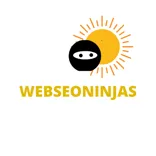 WebSEONinjas IT Solutions