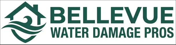 Bellevue Water Damage Pros