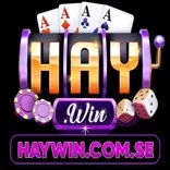 Haywin