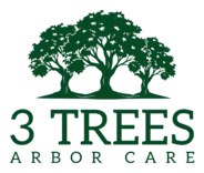 3treesarborcare