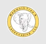 AAA Mammoth Tree & Landscaping