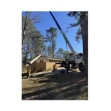 770-Tree-Guy