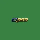 Q999