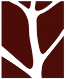 Lylko Studio
