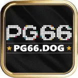 pg66dog