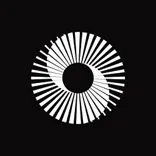 Perspective AI