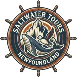 saltwater tours