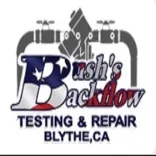 Bush’s Backflow