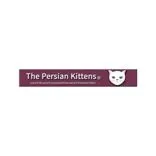 The Persian Kittens