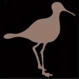 Sandpiper Marine Services