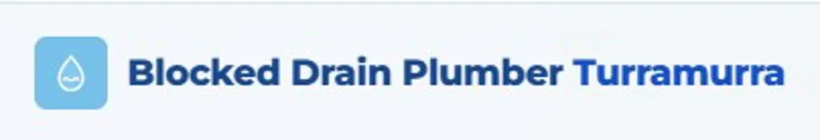 Blocked Drain Plumber Turramurra