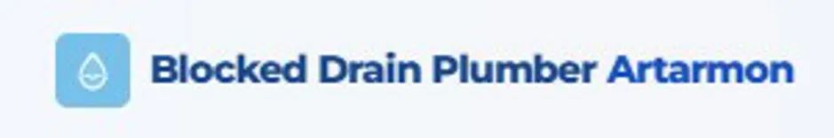 Blocked Drain Plumber Artarmon