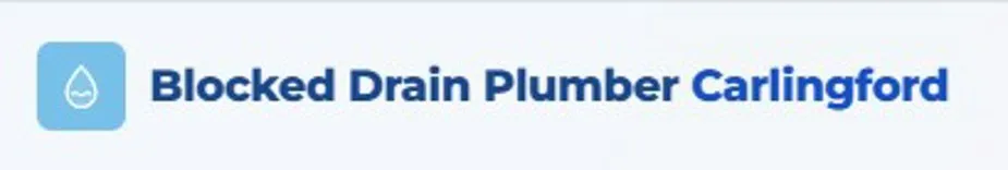 Blocked Drain Plumber Carlingford