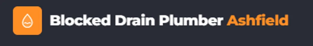 Blocked Drain Plumber Ashfield